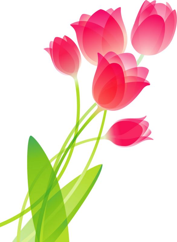 Fleurs flores flowers bloemen. May clipart red tulip