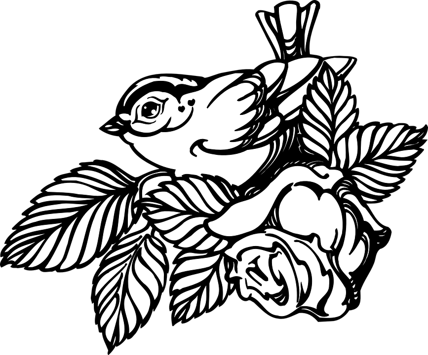 Mayflower clipart black and white. Collection of rose drawings