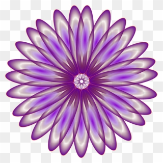 Mayflower clipart blue daisy. Free png flower clip