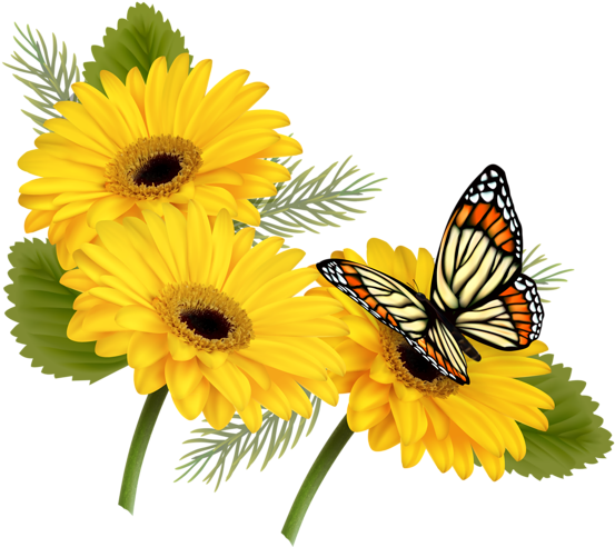 Gerbera flower whatsapp saturday. Mayflower clipart fence