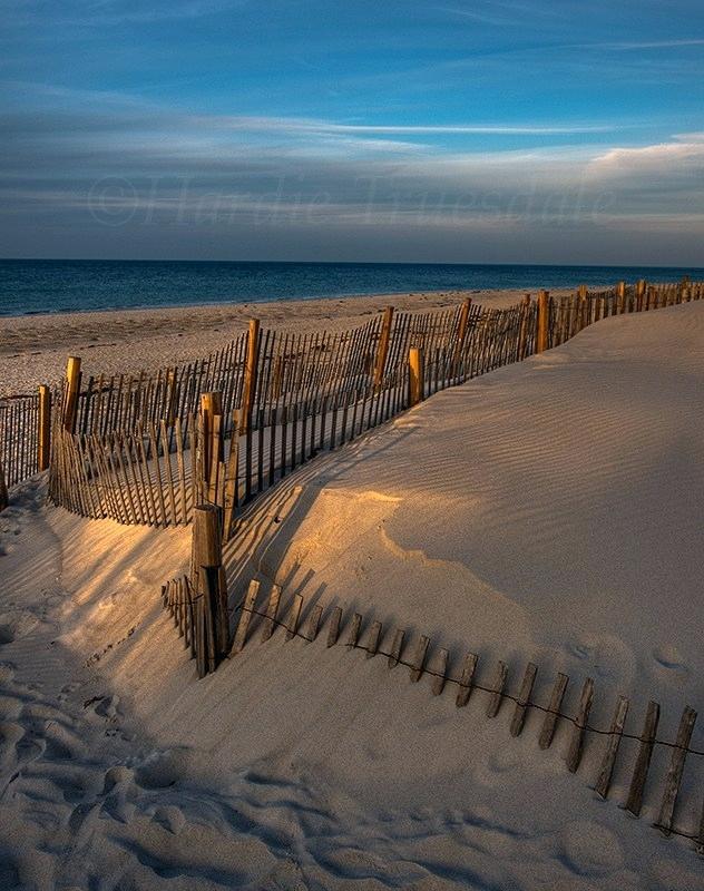 Mayflower clipart fence. Beach dune cape cod