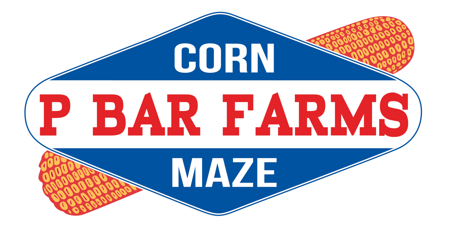 maze clipart corn maize