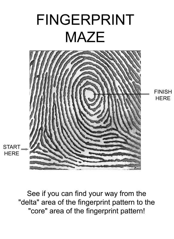 maze clipart generic