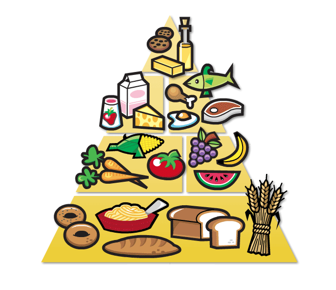 meal clipart food pyramid