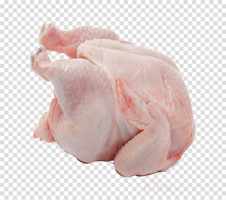 Meat clipart chicken breast. Turkey pink animal fat