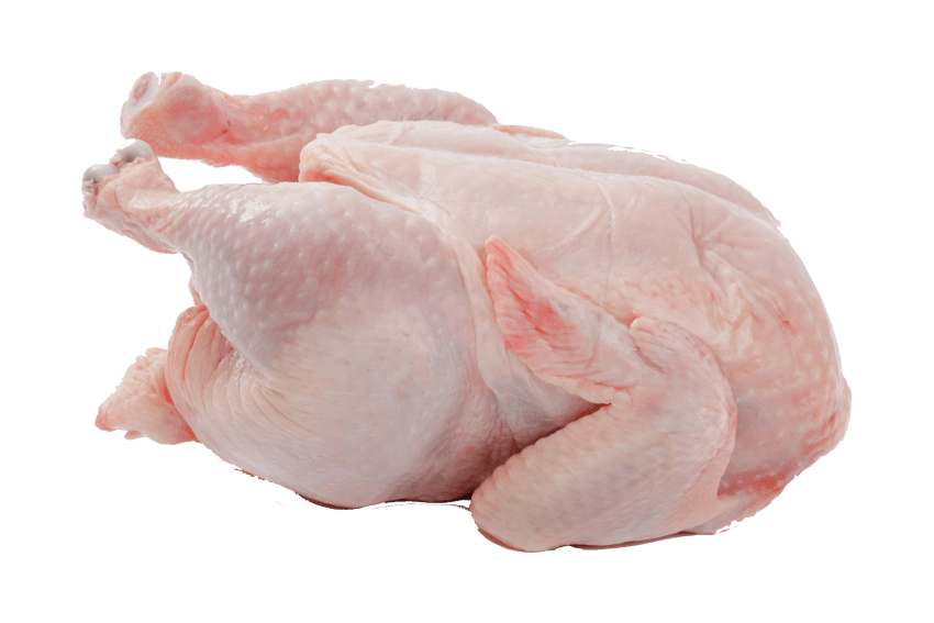 meat clipart chicken meat