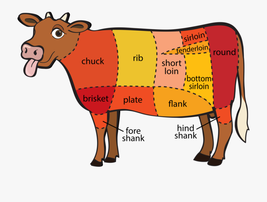 Cuts nose to tail. Meat clipart cow meat