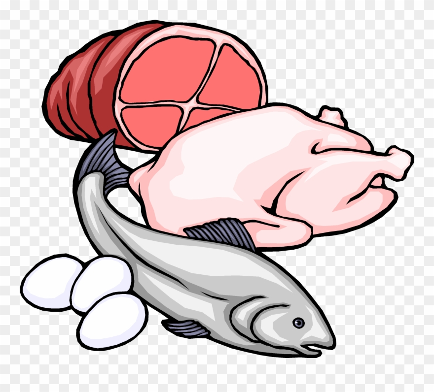 Carbohydrates drawing at getdrawings. Meat clipart fish clipart