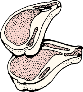 Meat clipart pork chop. Free chip cliparts download