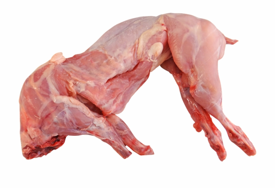 meat clipart rabbit meat