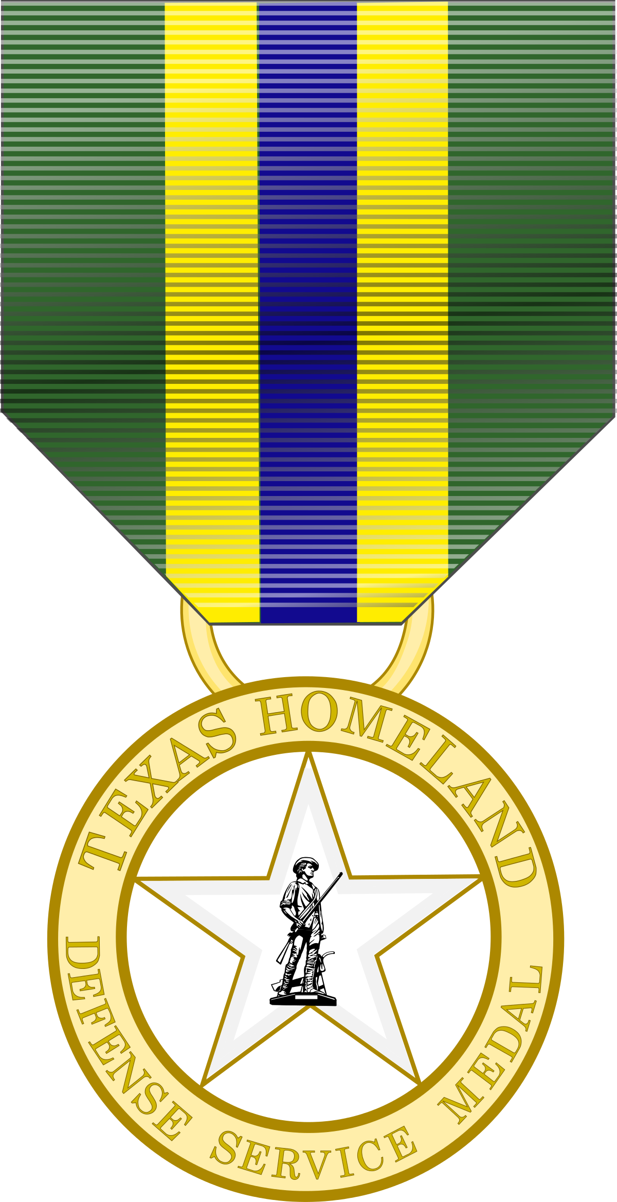 Medal clipart army medal. Texas homeland defense service