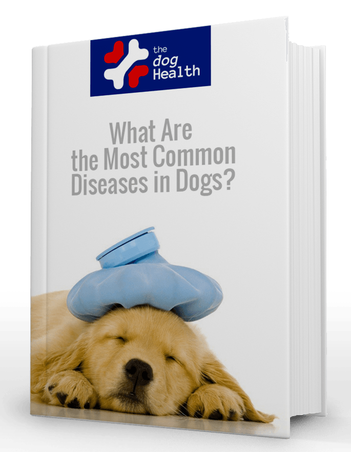 Medicine clipart dog medicine. What are the most
