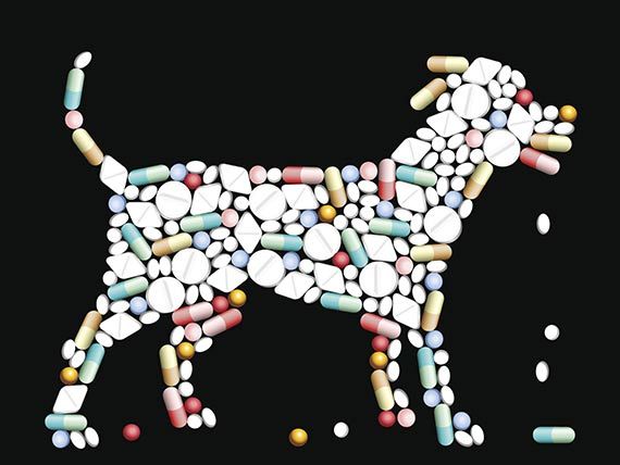 medication clipart dog medicine