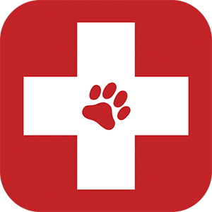 Free cliparts download clip. Medicine clipart animal medicine