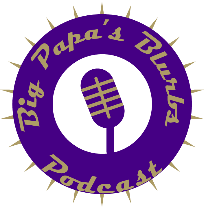 megaphone clipart partisan