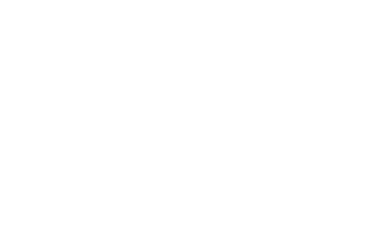 megaphone clipart partisan