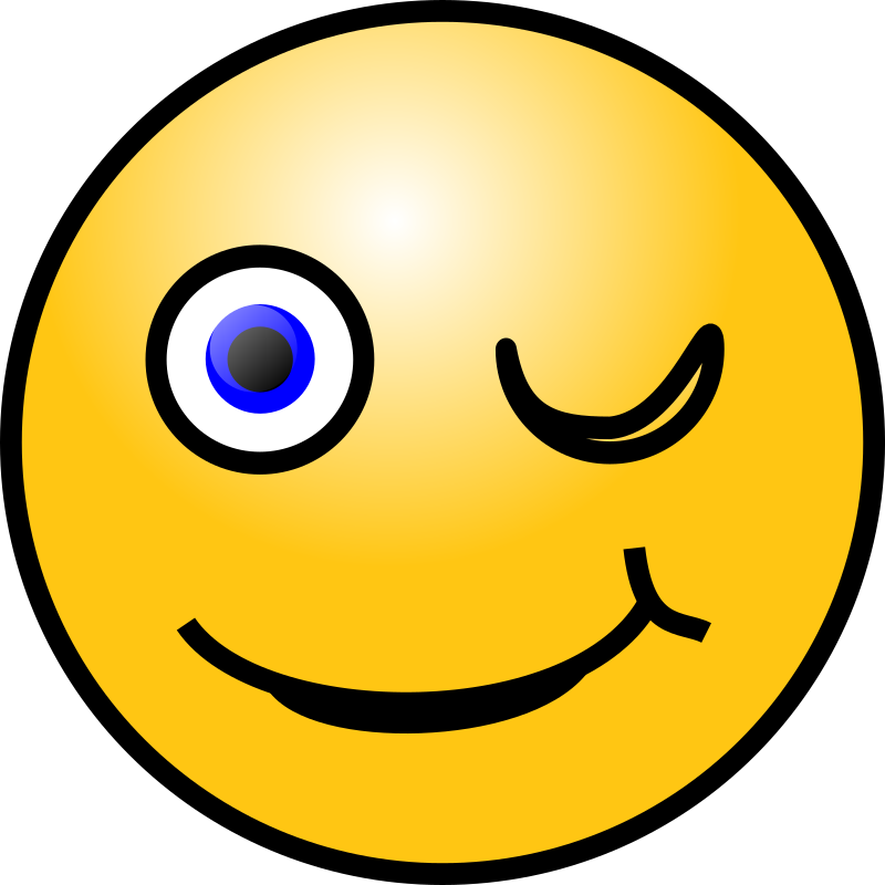 Smiley clipart camera. Winking download ico free