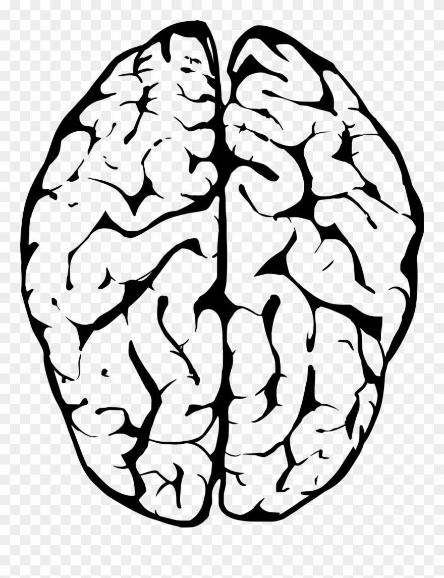 memories clipart brain logo