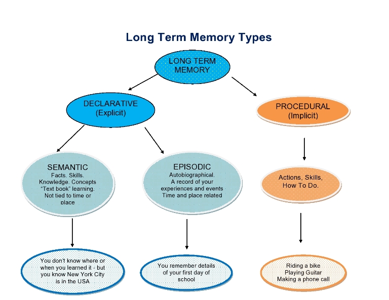Memories clipart learning and memory. Free long term cliparts