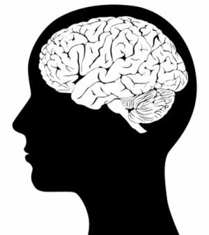 memory clipart healthy brain
