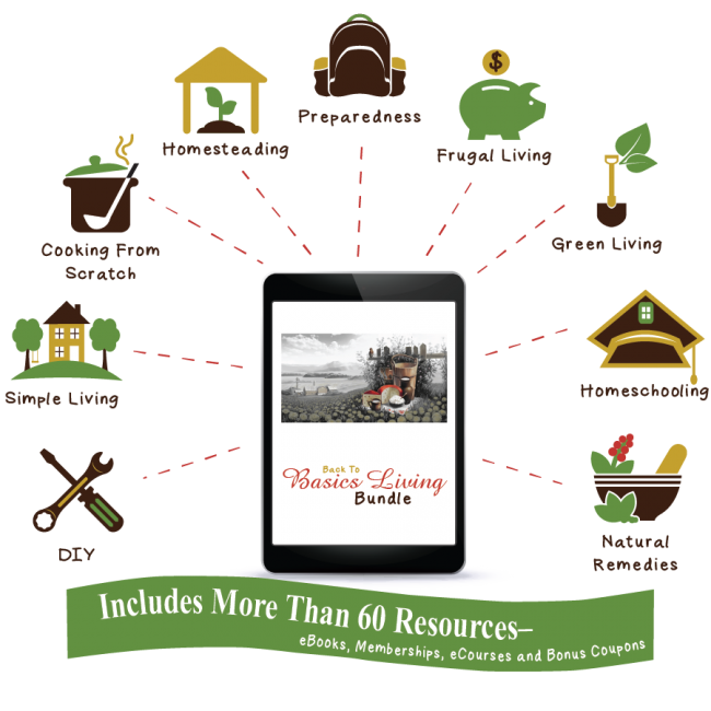 memory clipart homeschool