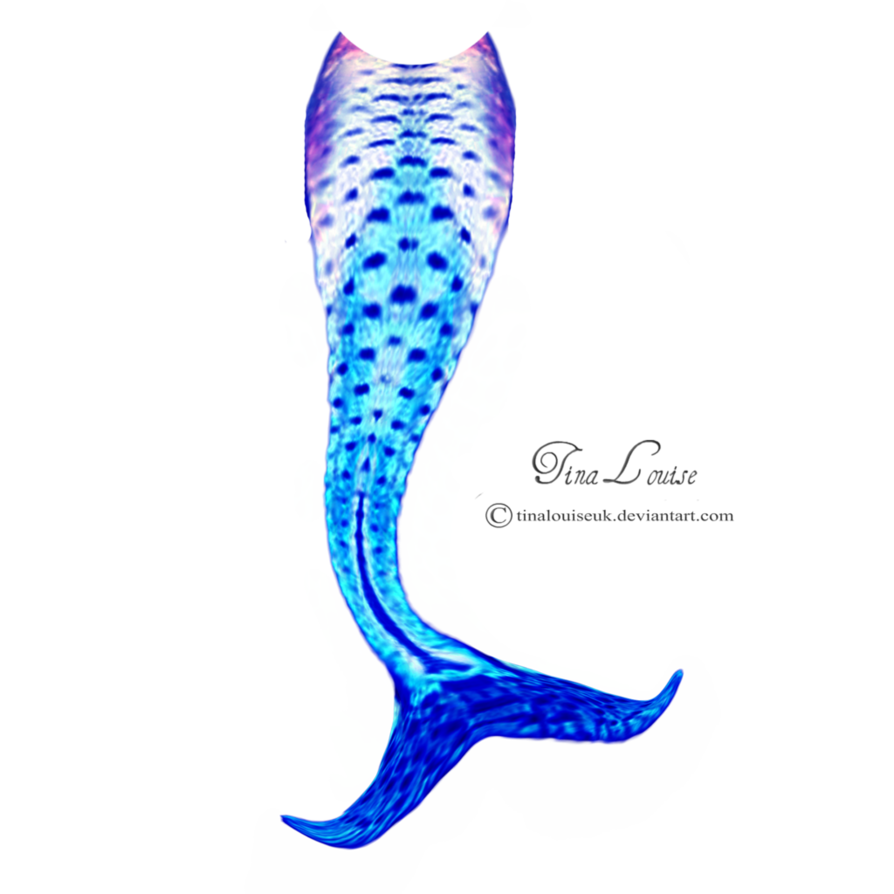 Mermaid clipart mermaid tail.  collection of transparent