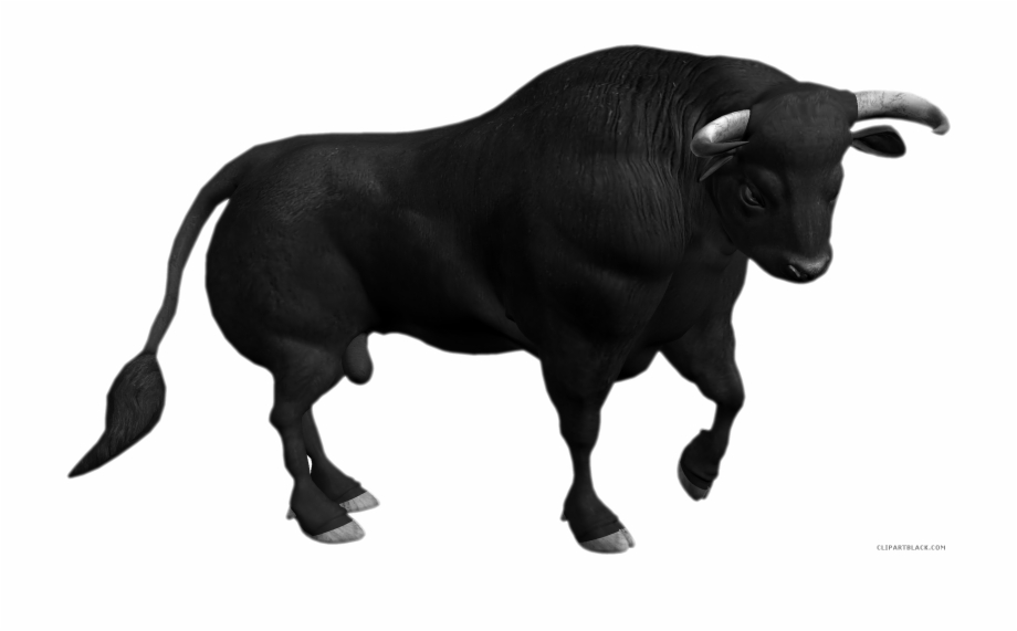 mexican clipart bull