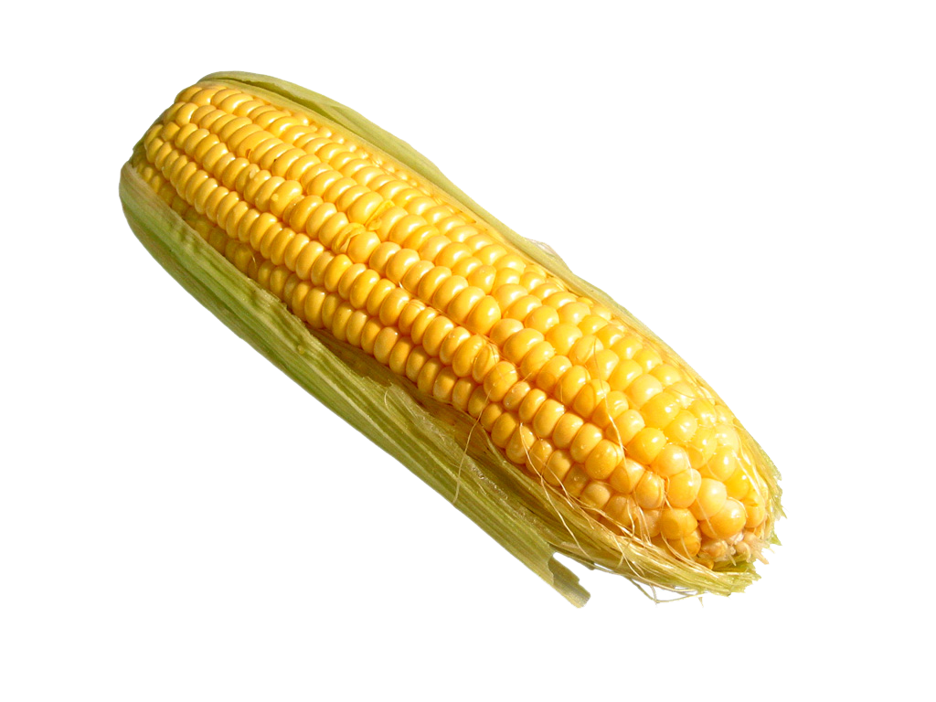 mexican clipart corn on cob