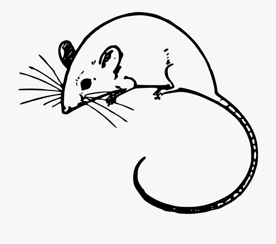 mice clipart black and white
