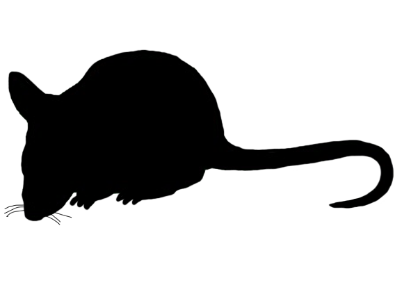 Free mouse cliparts download. Mice clipart halloween