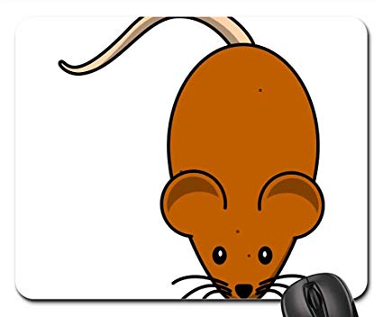 mice clipart pet mouse
