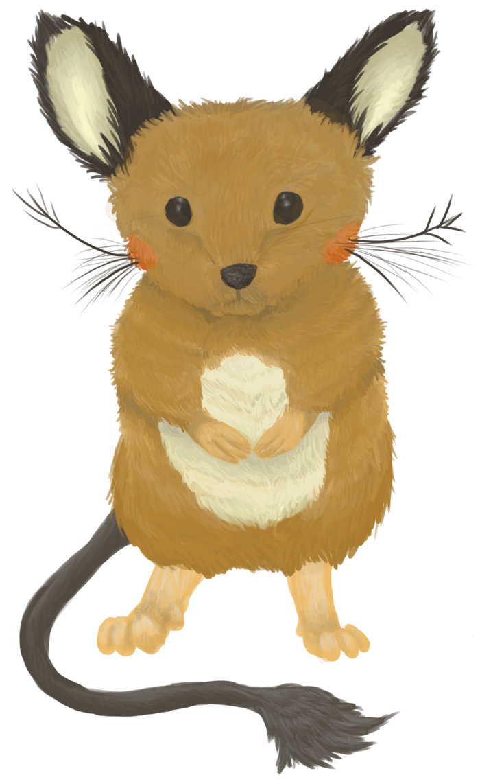 rat clipart realistic