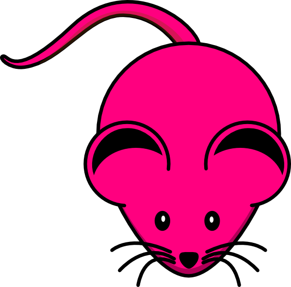 Mice rodent