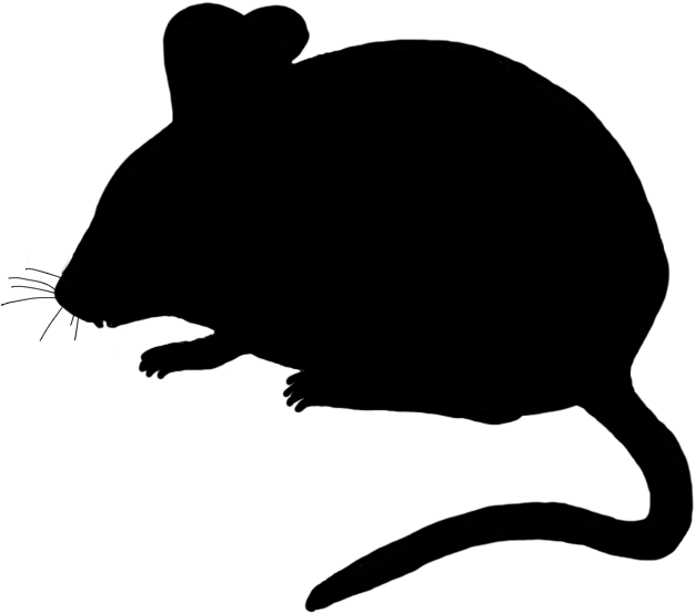 Cute mouse transparent . Mice clipart silhouette