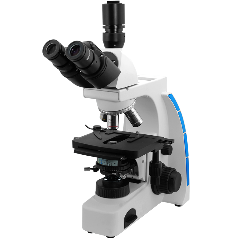 microscope clipart binocular microscope