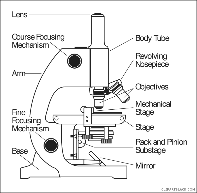 White clipart microscope. Clipartblack com tools free