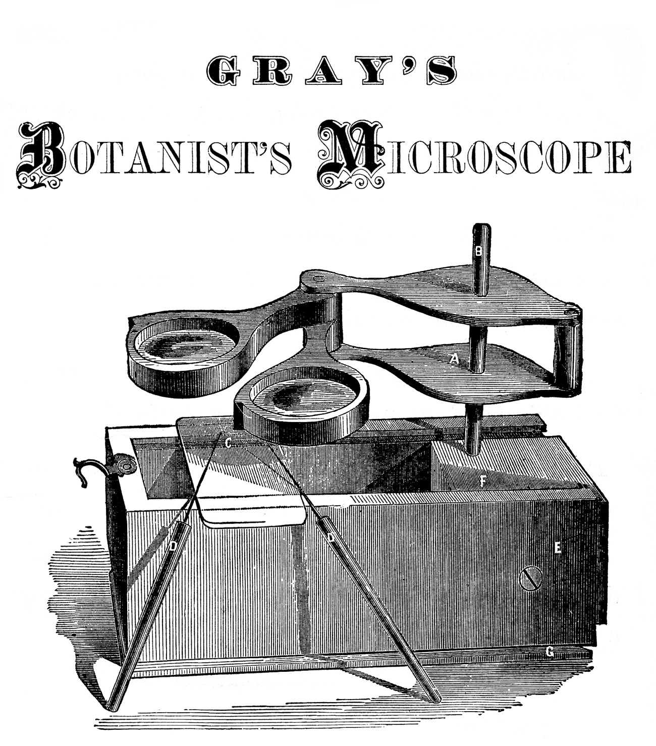 microscope clipart botanist