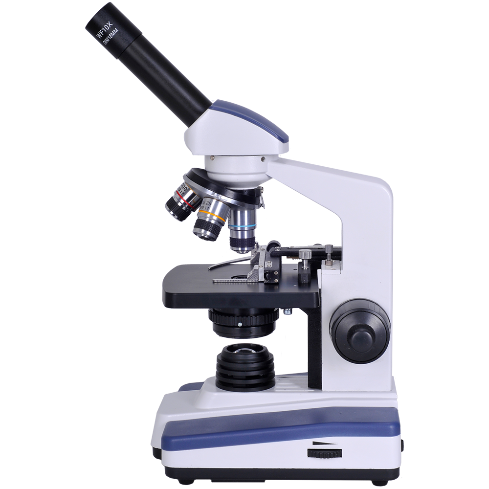 red clipart microscope