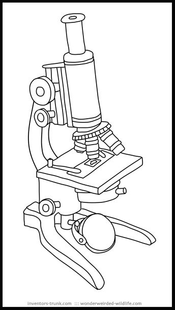 microscope clipart inventor