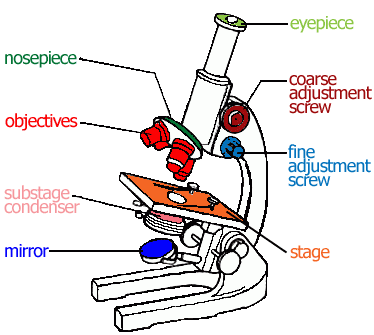 microscope clipart label