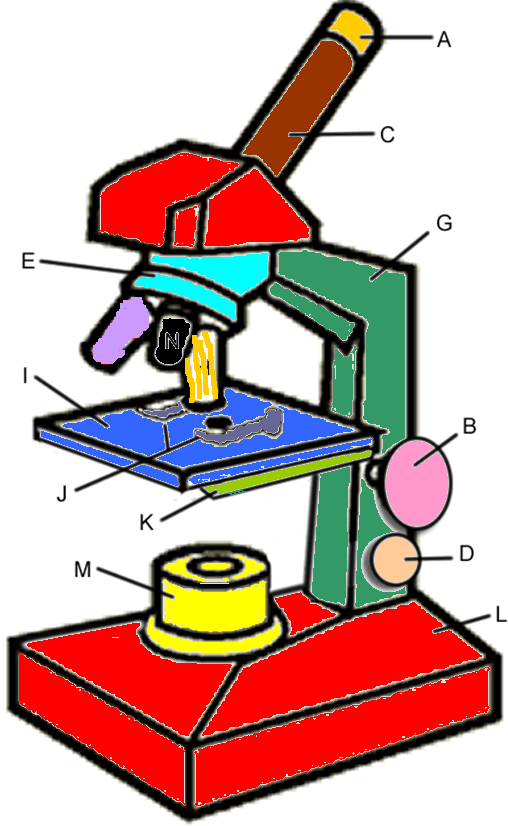 microscope clipart life science