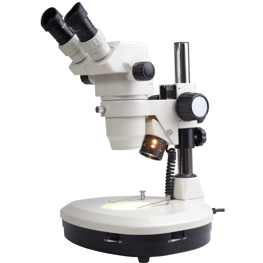 microscope clipart magnification