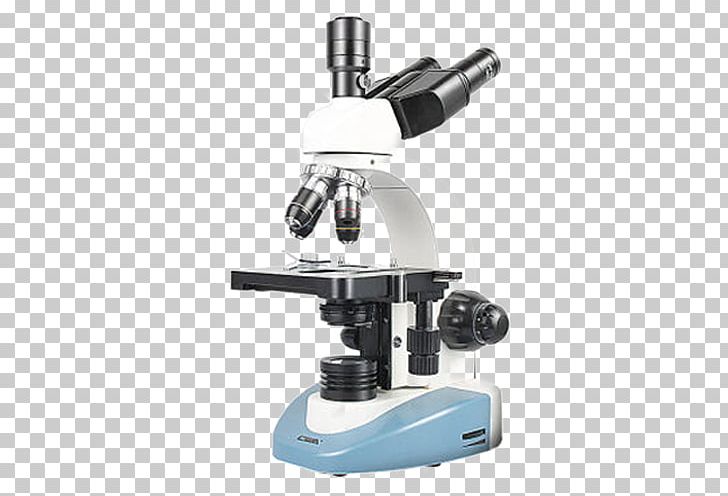 microscope clipart magnification