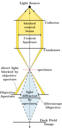 microscope clipart microscope diagram