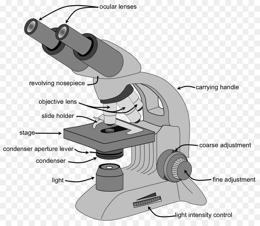 microscope clipart part