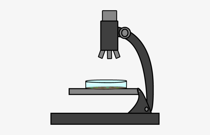 Under a clip art. Microscope clipart petri dish