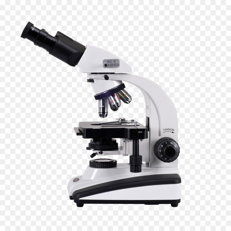 microscope clipart small