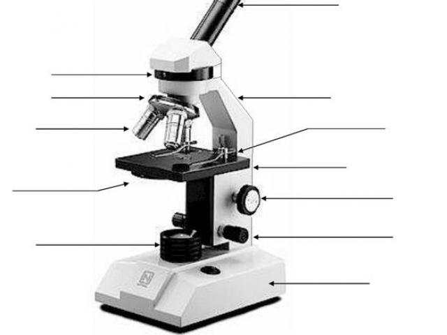 microscope clipart unlabeled
