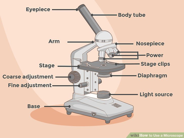 microscope clipart uses light