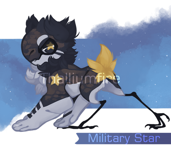 military clipart military star